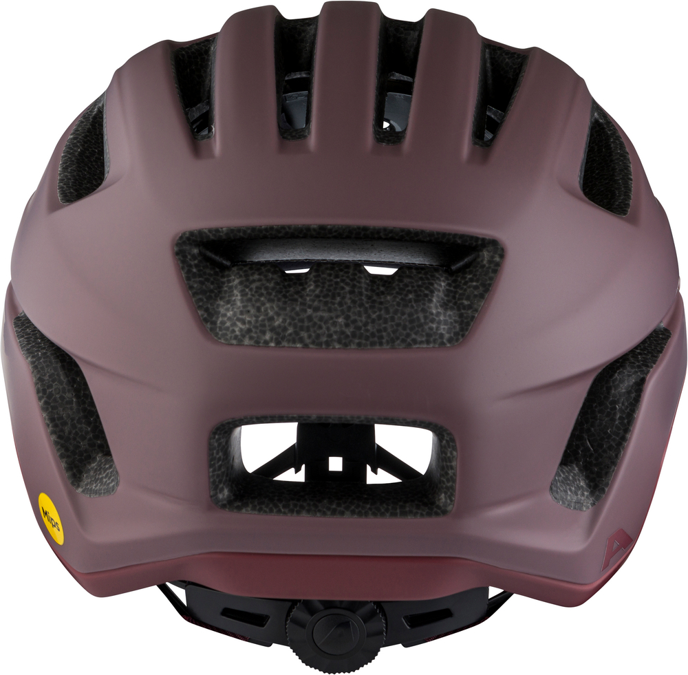 Alpina PARANUS MIPS raisin matt | 52-56